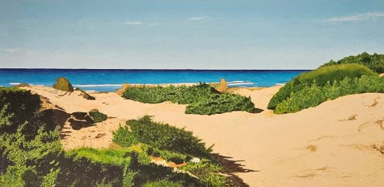 Dunas 2